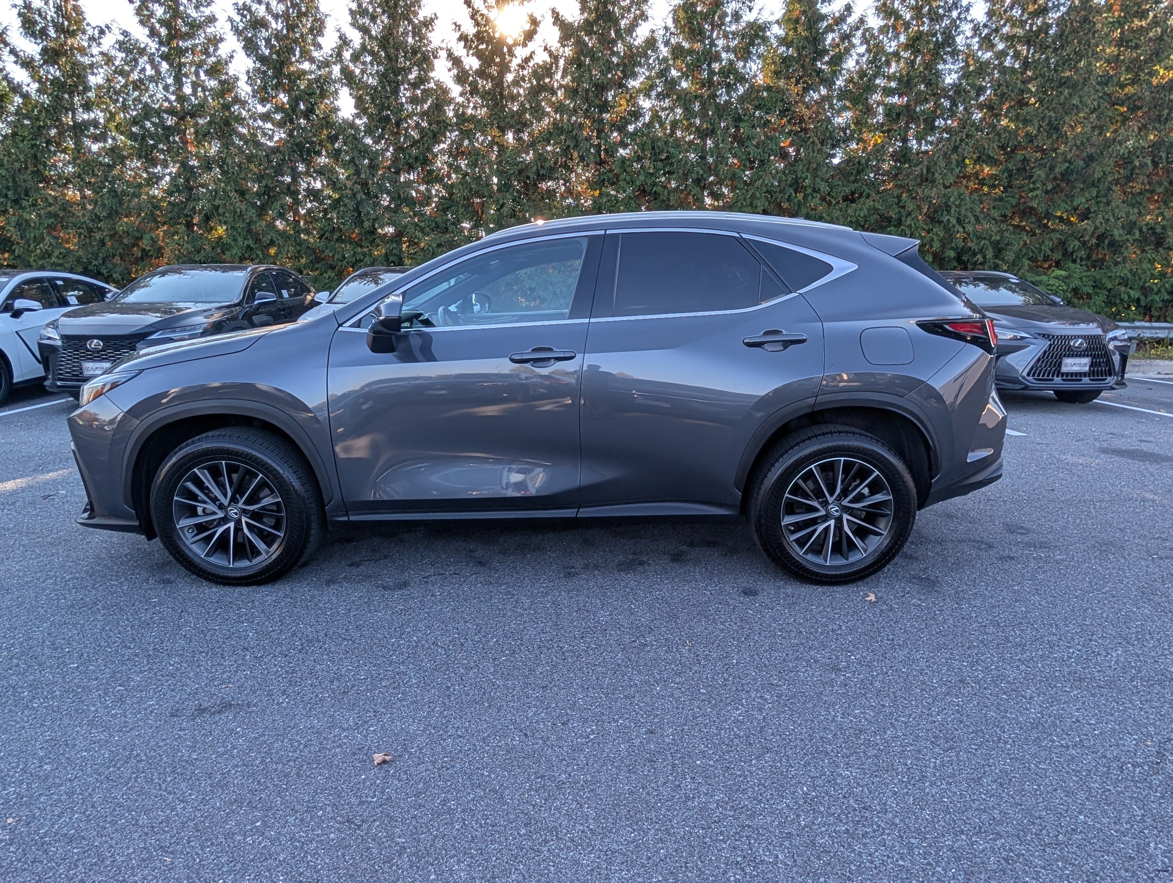 Used 2023 Lexus NX 350 AWD image 6