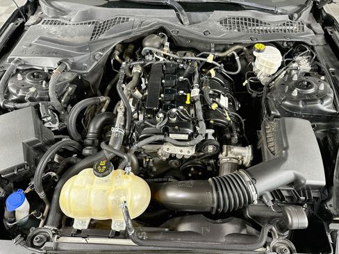 Used 2021 Ford Mustang Premium w/ Equipment Group 201A RWD image 30