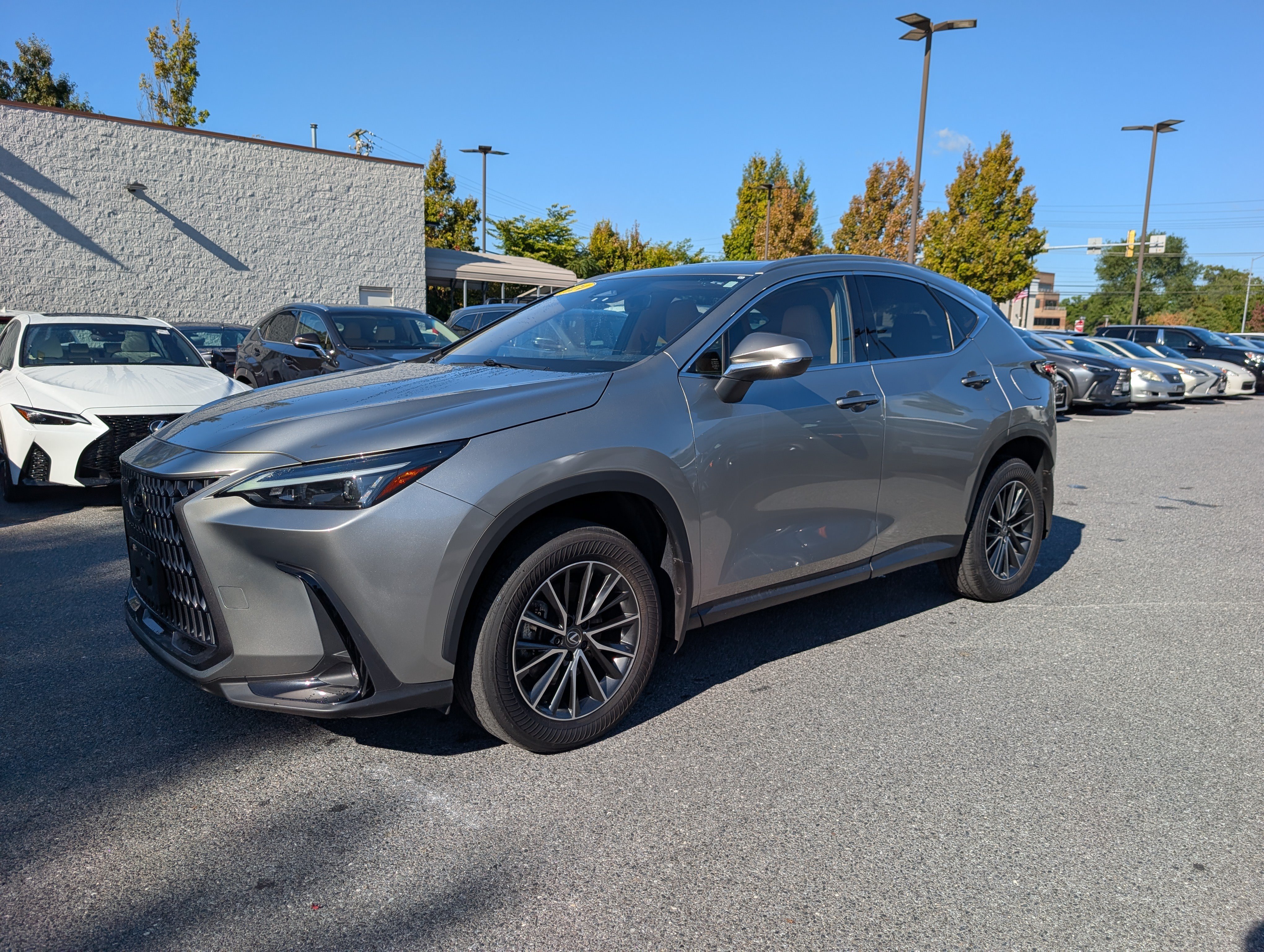 Used 2024 Lexus NX 350 AWD w/ Cold Area Package image 7