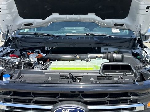 New 2025 Ford F150 XLT w/ Equipment Group 302A MID image 41