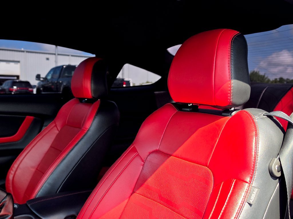 Used 2019 Ford Mustang GT Premium w/ Equipment Group 401A RWD image 29