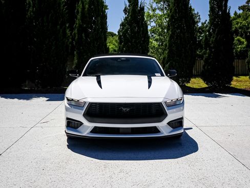 Used 2024 Ford Mustang Premium RWD image 3
