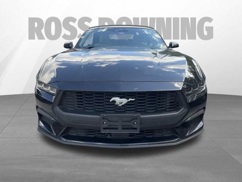 Used 2024 Ford Mustang Premium RWD image 2
