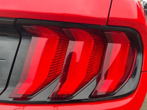 Used 2019 Ford Mustang Premium image 20