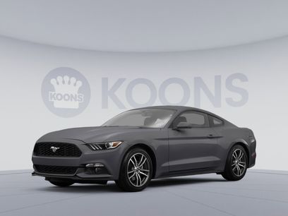 Used 2017 Ford Mustang Shelby GT350