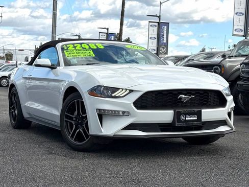 Certified 2019 Ford Mustang Premium image 2