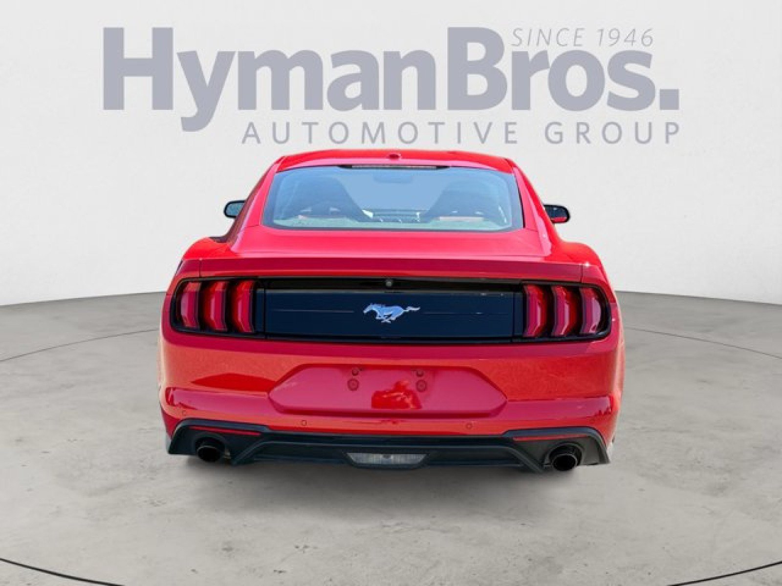 Used 2019 Ford Mustang Premium w/ Equipment Group 201A RWD image 4