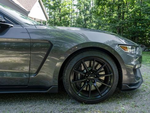 Used 2015 Ford Mustang Shelby GT350 RWD image 11