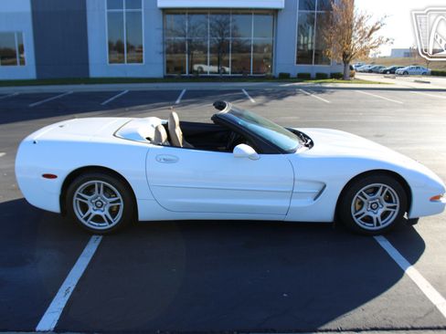 Used 1998 Chevrolet Corvette Convertible image 15