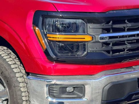 Used 2025 Ford F150 XLT w/ Equipment Group 301A Standard AWD/4WD image 5