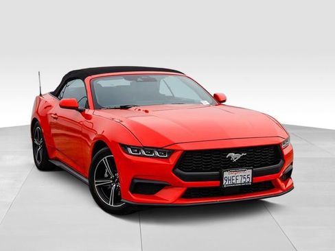 Used 2024 Ford Mustang EcoBoost image 2