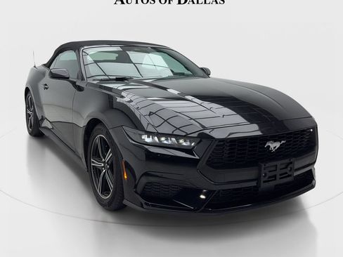 Used 2025 Ford Mustang Convertible RWD image 2