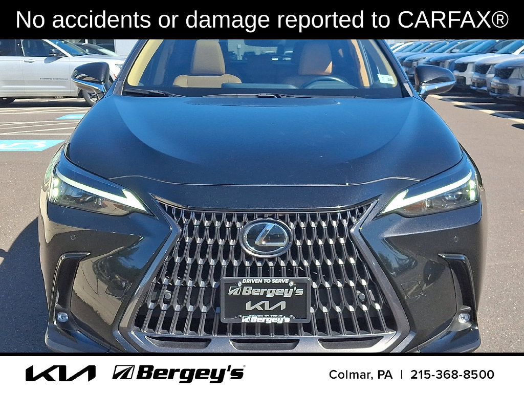 Used 2024 Lexus NX 350 AWD image 2