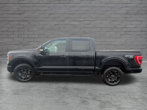 Used 2023 Ford F150 XL w/ STX Black Appearance Package AWD/4WD image 4