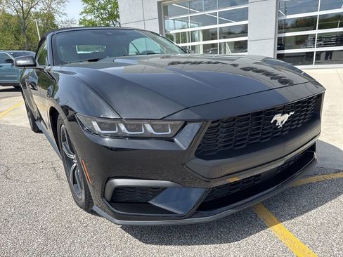 Used 2024 Ford Mustang Premium RWD image 14