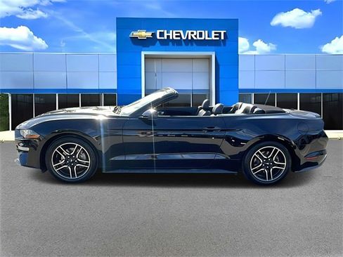 Used 2020 Ford Mustang Premium image 6