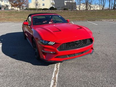 Used 2019 Ford Mustang Premium w/ Equipment Group 201A