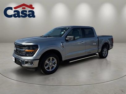 Used 2025 Ford F150 XLT w/ Equipment Group 301A Standard