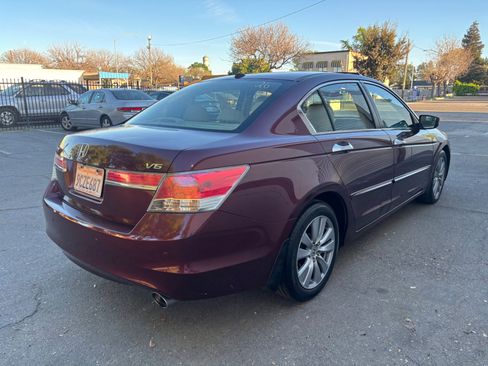 Used 2011 Honda Accord EX-L image 6