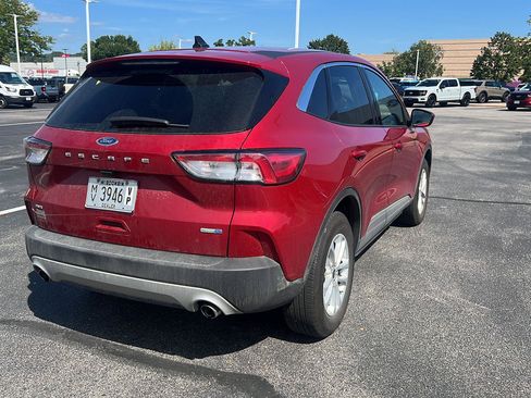 Used 2020 Ford Escape SE AWD/4WD image 6