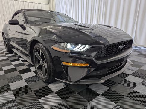 Used 2019 Ford Mustang Convertible w/ Ford Safe & Smart Package RWD image 5