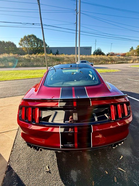 Used 2017 Ford Mustang Shelby GT350 w/ Electronics Package RWD image 6