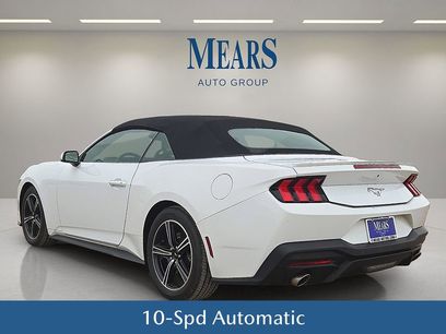 Used 2024 Ford Mustang Premium