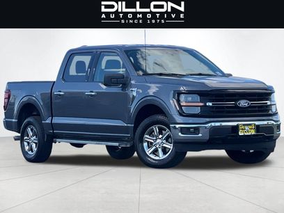 Used 2025 Ford F150 XLT w/ Equipment Group 301A Standard