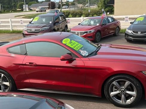 Used 2016 Ford Mustang Coupe w/ Equipment Group 051A RWD image 7