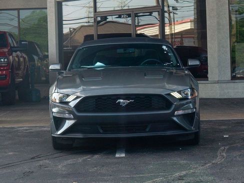 Used 2019 Ford Mustang Convertible RWD image 7