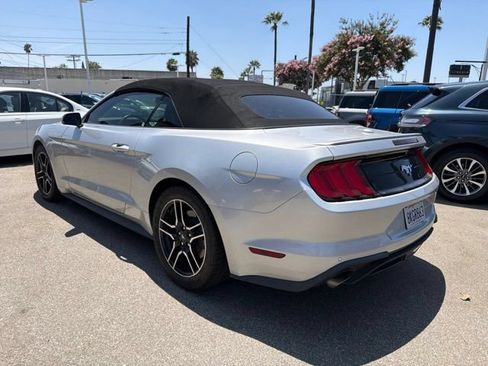 Used 2019 Ford Mustang Premium RWD image 5