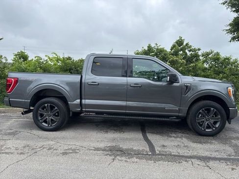 Used 2023 Ford F150 XLT w/ Equipment Group 302A High AWD/4WD image 9