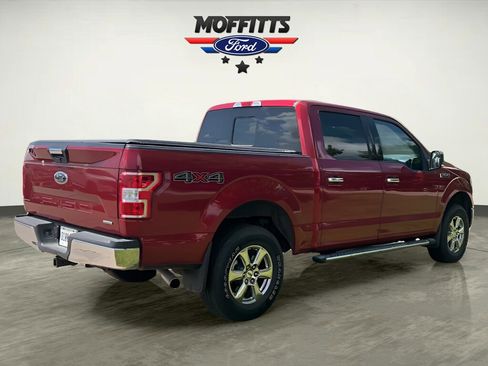 Used 2019 Ford F150 XLT w/ Equipment Group 302A Luxury AWD/4WD image 5