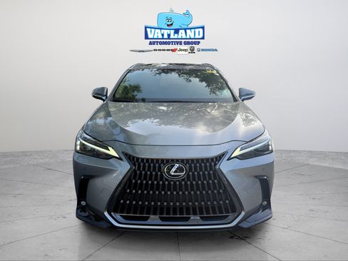 Used 2024 Lexus NX 250 FWD image 5