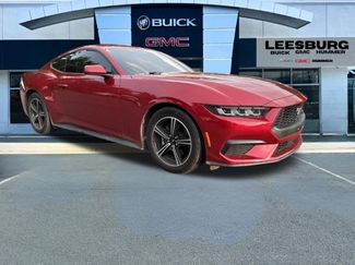 Used 2024 Ford Mustang Coupe RWD video 1