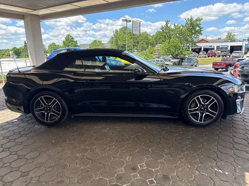 Used 2019 Ford Mustang Premium RWD image 5
