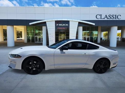 Used 2023 Ford Mustang Premium w/ Mustang Nite Pony Package RWD image 4