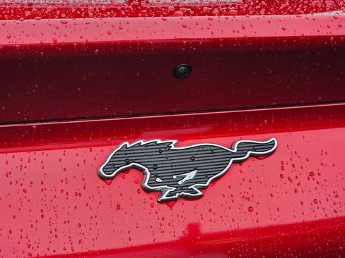 Used 2022 Ford Mustang Mach-E Select RWD image 14