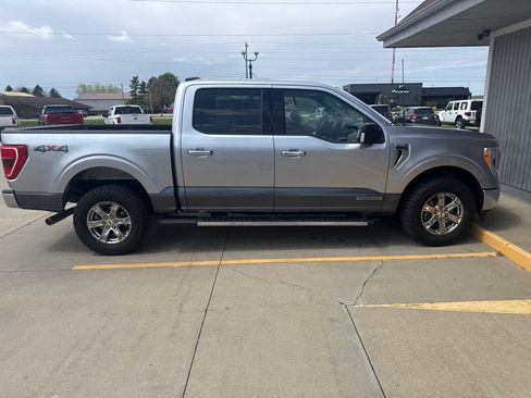 Used 2021 Ford F150 XLT w/ Equipment Group 302A High AWD/4WD image 2