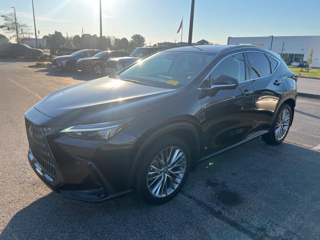 Used 2025 Lexus NX 350 AWD w/ Cold Area Package image 7