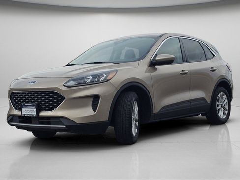 Used 2020 Ford Escape SE image 4