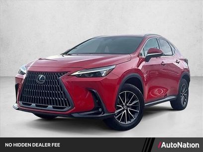 Used 2024 Lexus NX 250 FWD w/ Cold Area Package