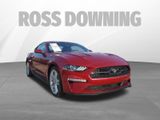 Used 2021 Ford Mustang Premium w/ Equipment Group 201A image 3