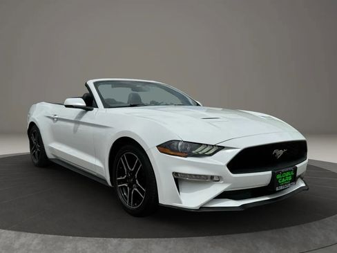 Used 2019 Ford Mustang Premium image 7