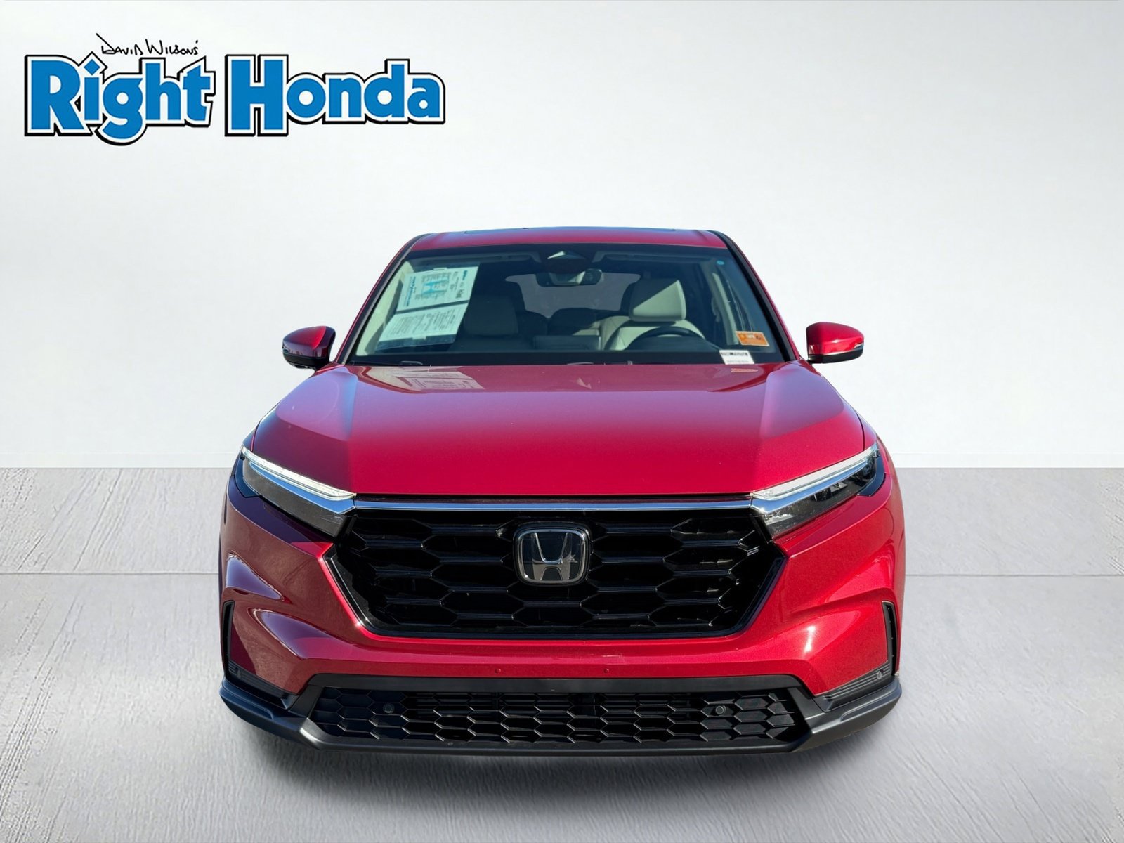 Used 2025 Honda CR-V EX-L image 5