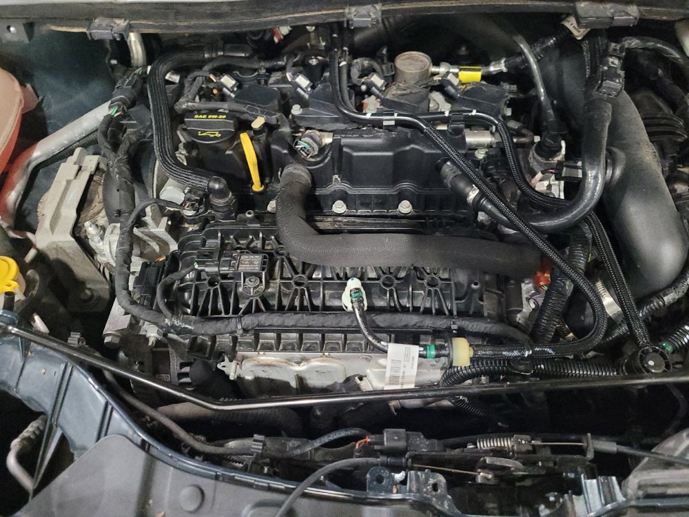 Used 2019 Ford Escape SE FWD image 30