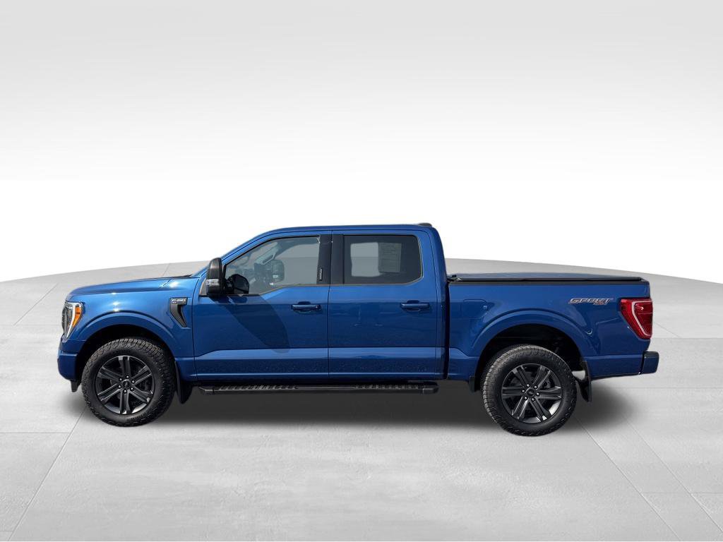 Used 2023 Ford F150 XLT w/ Equipment Group 302A High AWD/4WD image 12