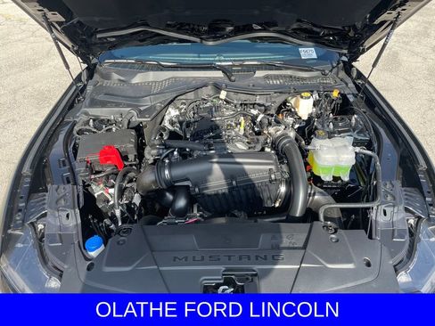 New 2025 Ford Mustang Premium w/ Mustang Nite Pony Package image 23