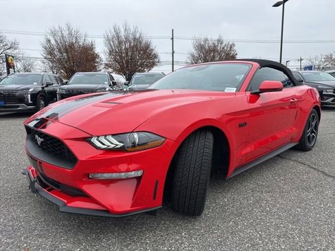 Used 2022 Ford Mustang Premium w/ Equipment Group 201A image 3