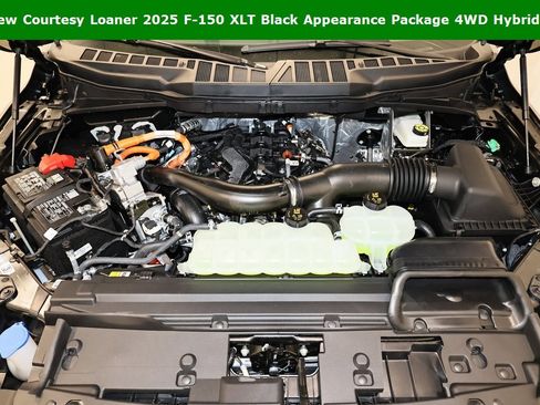 New 2025 Ford F150 XLT w/ Equipment Group 302A MID image 32